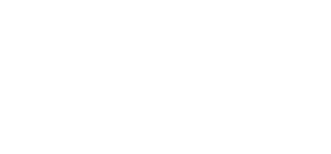 Northstar Automotive Group